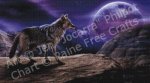 (image for) Lone Coyote